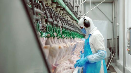 Avex, del grupo Granja Tres Arroyos, atraviesa un complejo cuadro financiero.
