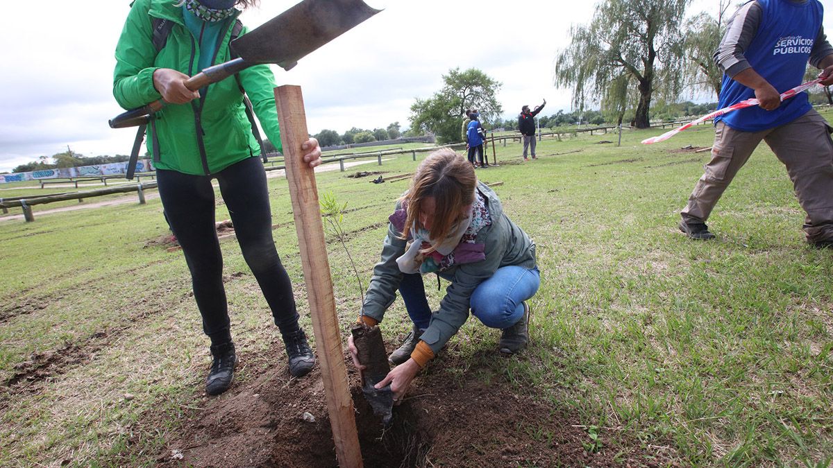Fueron plantados 1.000 árboles en la Costanera Sur.