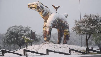 Volvió la nieve a la ciudad, luego de 14 años