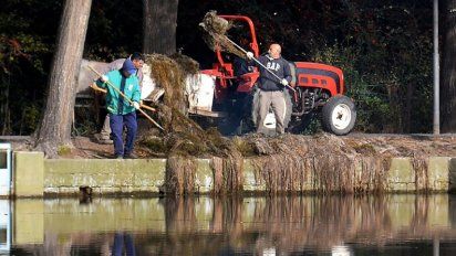Limpieza del lago Villa Dalcar: sacaron 45 toneladas de algas y van por 35 más
