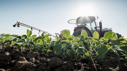El valor de la producción de soja trepó 63% y llegó a US$ 7.473 millones
