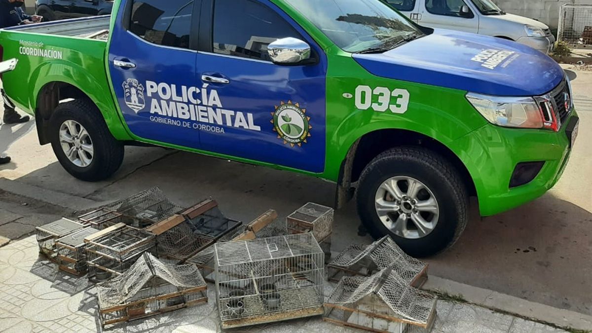 Policía Ambiental trabajó junto con la Departamental San Martín.