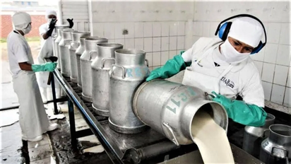La producción de leche creció casi 10% en 2025 y alcanzó el mayor volumen de la última década