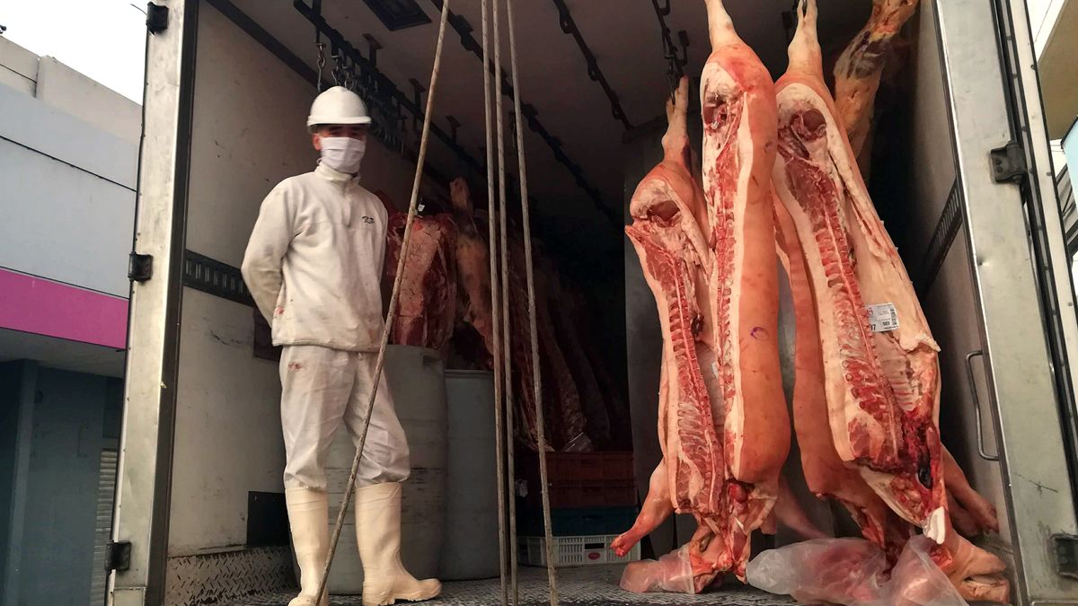 La faena de cerdo sigue en alza y el consumo