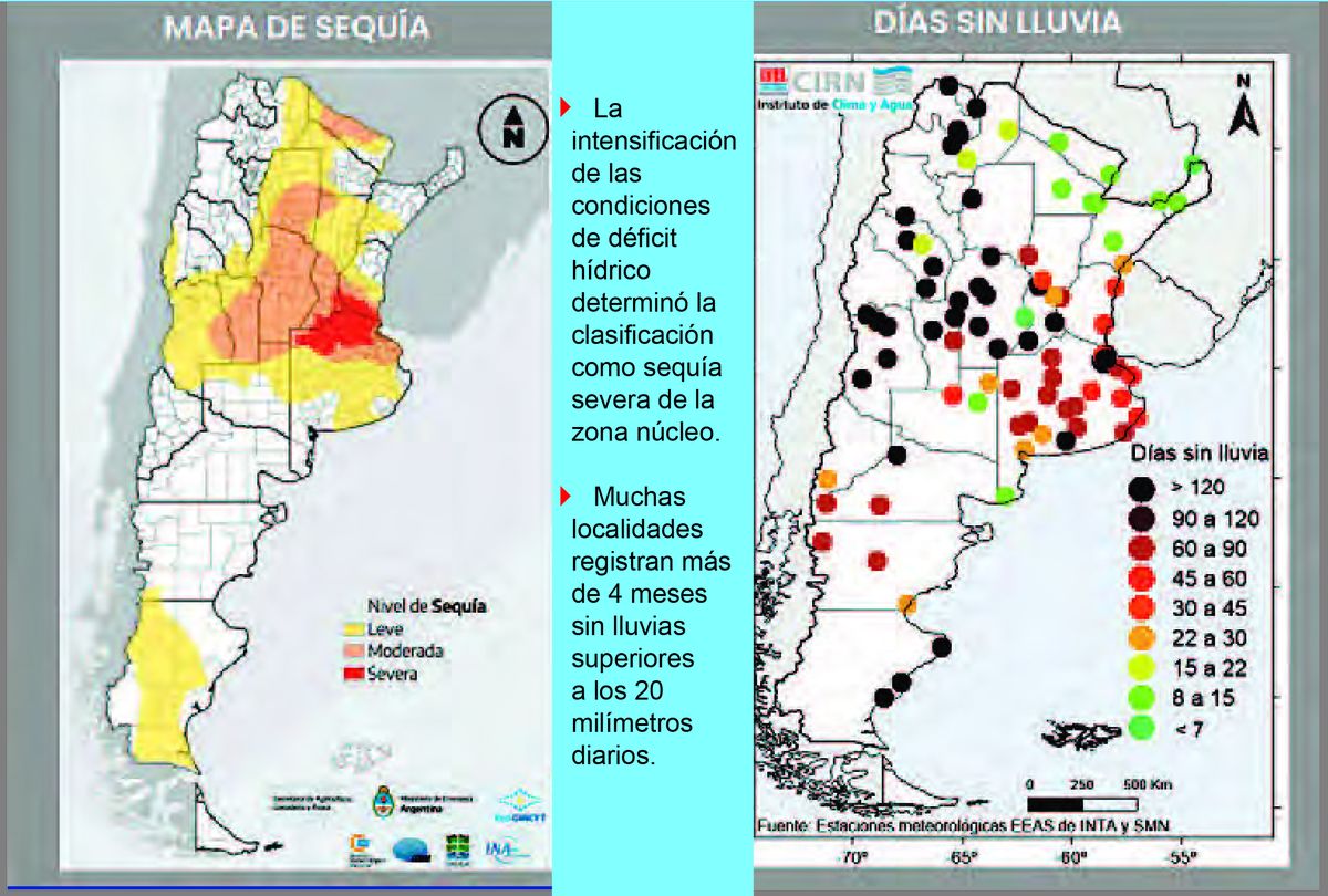 Las lluvias de esta semana trajeron algo de alivio, pero están lejos de revertir un cuadro que en algunos casos, como en el trigo, son terminales. El girasol también fue afectado en la etapa de siembra y el maíz se corre al mes de diciembre