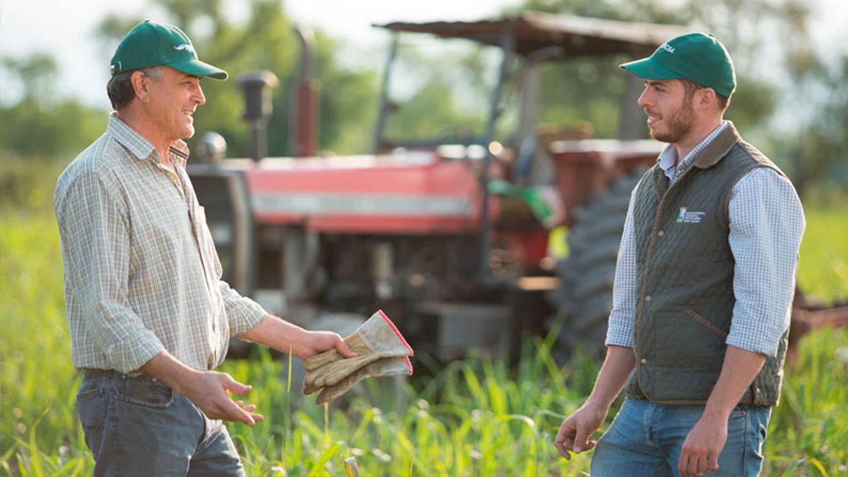 De acuerdo al informe de la Universidad Austral, un 46% de los productores piensa&nbsp;aumentar la superficie sembrada de soja, frente a un 7% que piensan disminuirla.