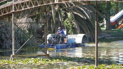 Vecinos se quejan por el estado del lago Villa Dalcar: piden más limpieza