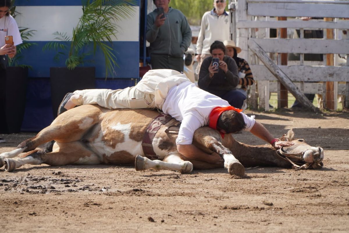 Mirá todo lo que dejó la 91° exposición de la Rural de Río Cuarto