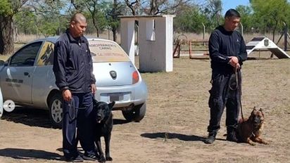 Reconocen a dos perros de la Sección Canes de la Policía de Río Cuarto
