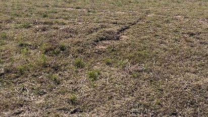 Adquirieron dos lotes en le Parque Industrial