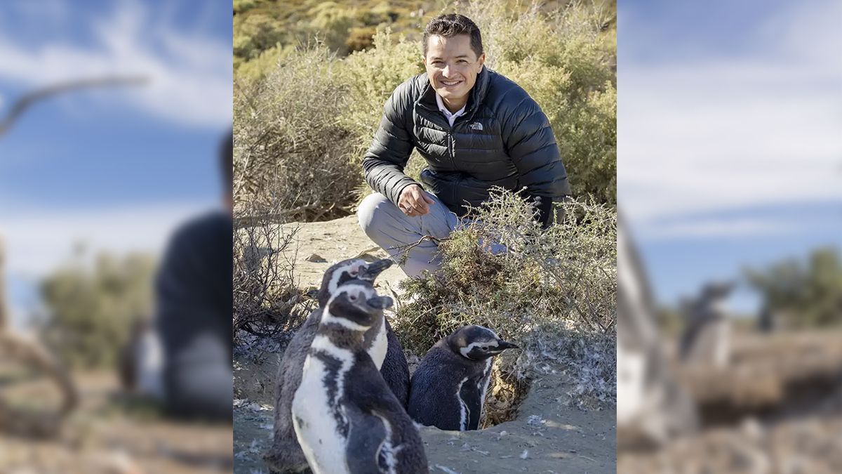 “En los 80 rescataba los pingüinos y los llevaba a un centro de rehabilitación muy chiquito que yo mismo había hecho”. Pablo García Borboroglu, Doctor en Biología.