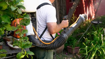 Realizaron numerosas fumigaciones contra mosquitos en la ciudad