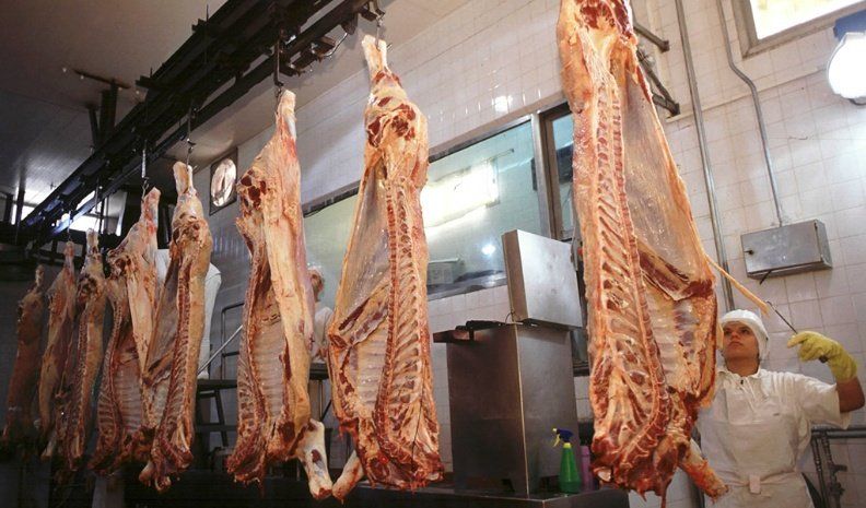 La producción de carne vacuna subió 6% en agosto