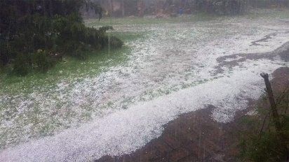 Un intenso granizo afectó a localidades del norte pampeano