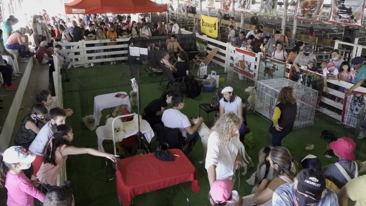 Con gran afluencia de público y música en vivo