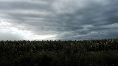 Alerta amarilla por tormentas para el sur de Córdoba en la noche del viernes y mañana del sábado