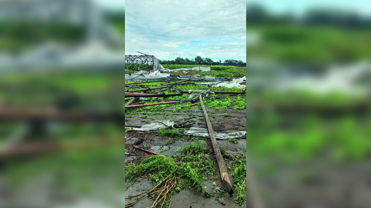 La tormenta causó importantes daños en el cinturón verde de Río Cuarto
