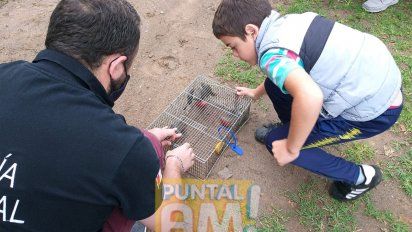 Liberaron más de 200 aves en distintos puntos de la provincia