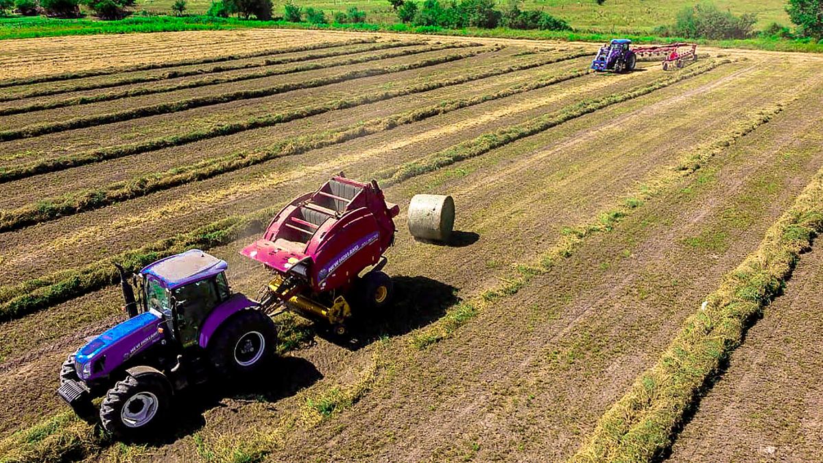 La alfalfa es una gran oportunidad para los productores de la región interesados en la venta a mercados internacionales.