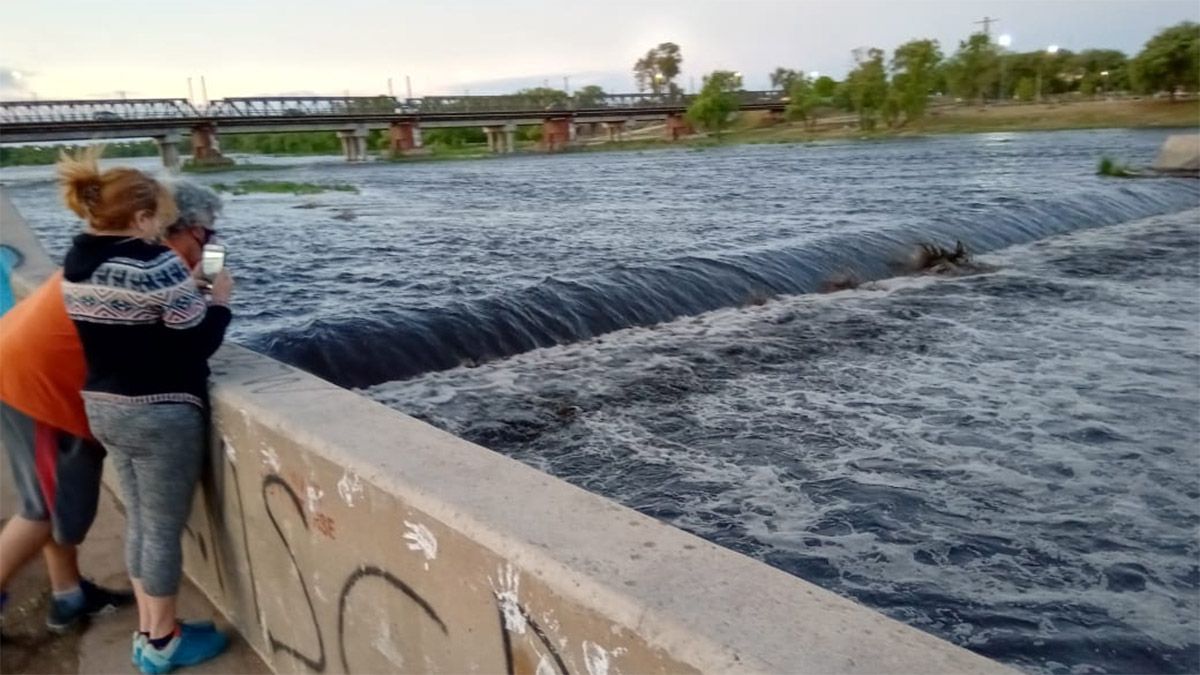 El cauce del río Cuarto mostró un color oscuro por las cenizas arrastradas.