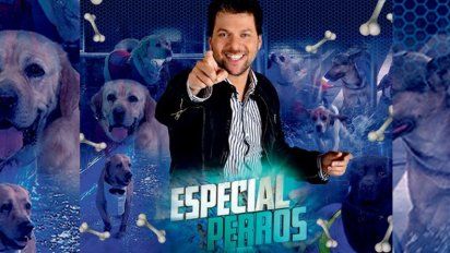En 2019, Guido apostará por los perros