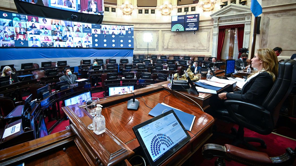 La sesión estuvo presidida por la presidenta provisional del Senado.