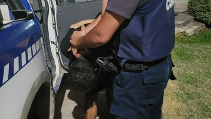 Una pareja robó, se resistieron a la detención y efectuaron violencia contra los efectivos policiales
