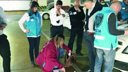 Dictaron la prisión preventiva para el pediatra detenido por tenencia de pornografía infantil