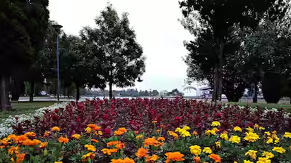 Pequeña primavera anticipada en la ciudad