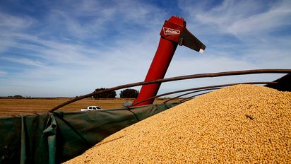 Proyectan una caída del ingreso de dólares del agro en el primer trimestre de 2026