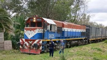 Murió la mujer de 80 años que había sido atropellada por un tren en General Cabrera