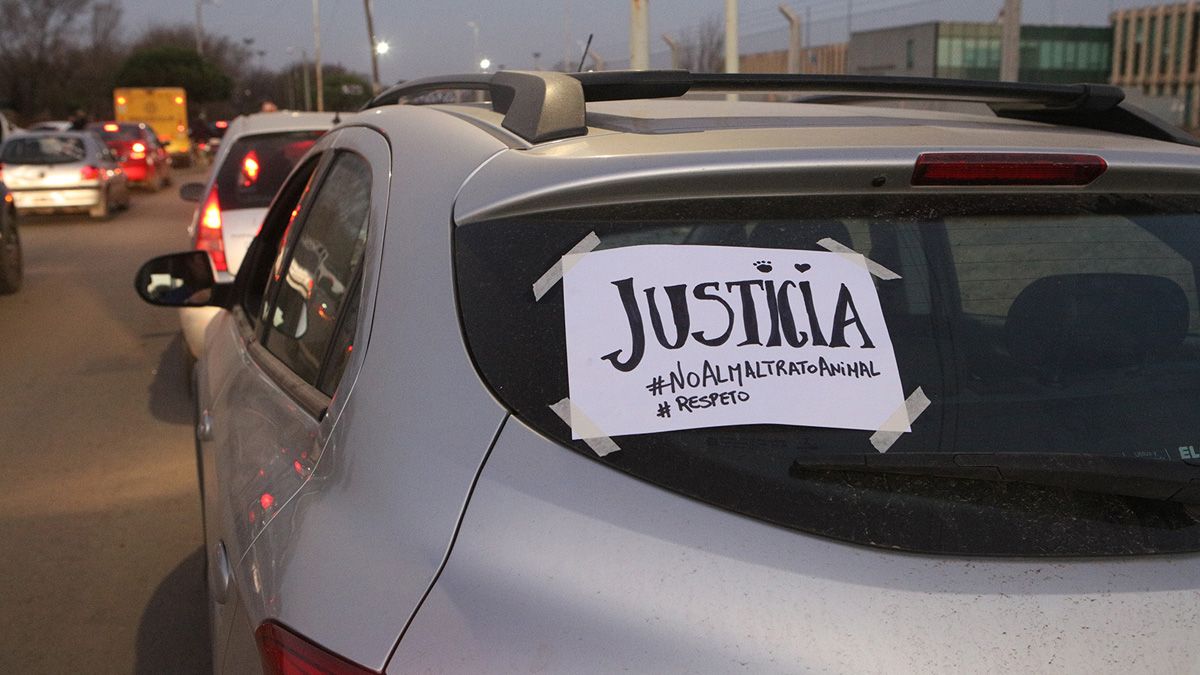 Durante la movilización pidieron esclarecer los hechos de violencia contra animales.