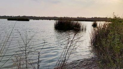 Confirmaron casos de gripe aviar en Las Mojarras y Alejo Ledesma