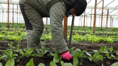 Destinan fondos para 22 proyectos de agricultura realizados por mujeres