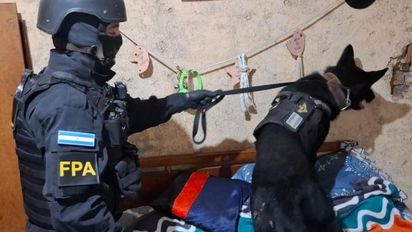 Desbaratan organización familiar que hacía repartos de cocaína a domicilio