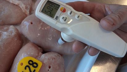 Enriquecen la carne aviar con aceite Omega-3 de algas marinas