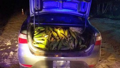 Salta: particulares detenciones por hechos delictivos en medio de la cuarentena 