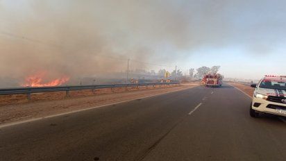 En Río Tercero se quemaron 135 hectáreas de monte nativo