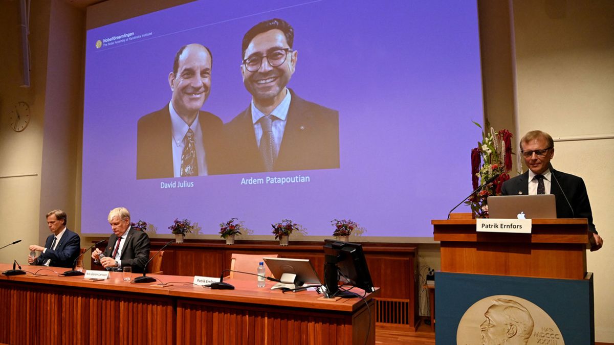 Los científicos estadounidenses David Julius y Ardem Patapoutian fueron galardonados hoy con el Premio Nobel de Fisiología o Medicina﻿.