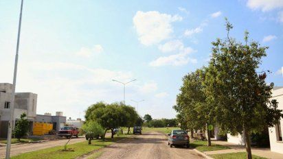Qué indica la ordenanza municipal ante la utilización de agroquímicos 