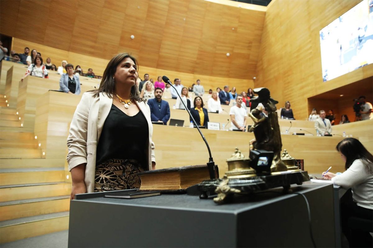 Nadia Fernández juró como presidenta provisoria de la Legislatura.