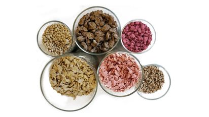Proteínas en la adolescencia: ¿por qué importa tanto la cantidad como la calidad?