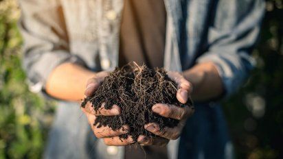 Acciones sustentables: Compost casero