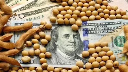 Dólar soja: Hay unas 5 millones de toneladas que podrían salir para llegar el ritmo histórico de ventas