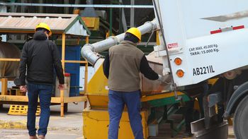 Sin retenciones, el agro generaría 800 mil empleos más y reduciría a la mitad la desocupación actual
