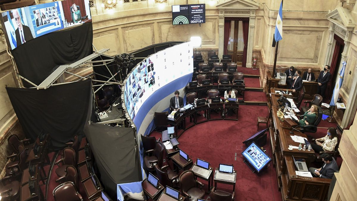 senado sesion remota 3.jpg