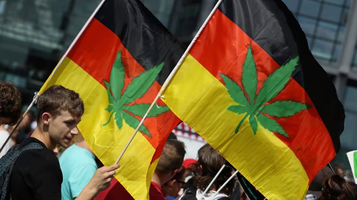 Alemania presentó el miércoles sus planes para legalizar el cannabis Alemania presentó el miércoles sus planes para legalizar el cannabis