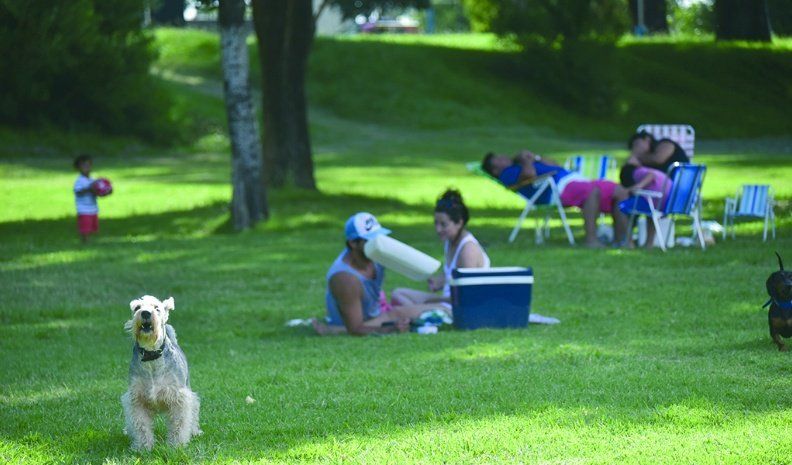 Por los hechos de inseguridad, instalaron cámaras de seguridad en la zona del parque Hipólito Yrigoyen