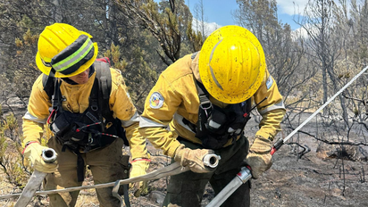 Bomberos cordobeses se sumaron al combate del fuego en el Parque Nacional Los Alerces