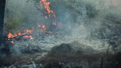 Combaten un incendio forestal en el norte de la provincia